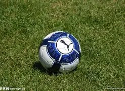 电竞假赛选,手是否值得,重新给予机,金年会6676官方网站,金年会体育6676网页版,金年会官网6676入口,金年会官网6676首页