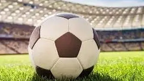 金年会官网6676入口 产品 091156 weu