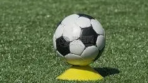 金年会官网6676入口 产品 091909 vg7